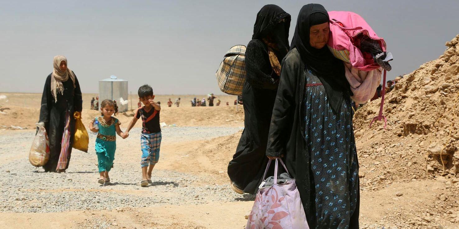 Civila flyr byar söder om Mosul, undan strider mellan irakiska säkerhetsstyrkor och terrorrörelsen IS.