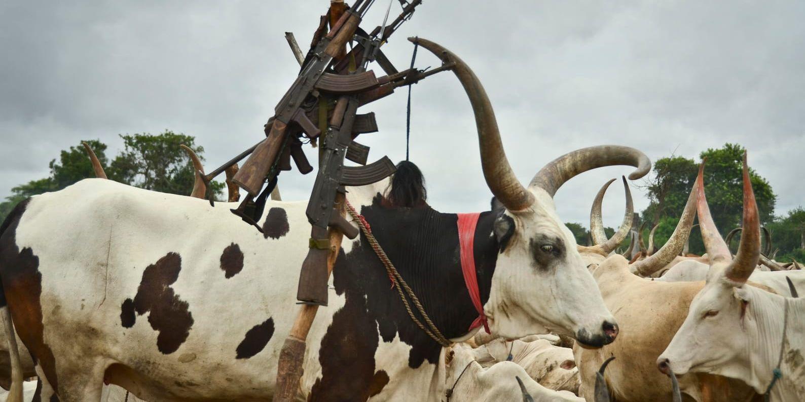 Herdar beväpnar sig tungt i Sydsudan, för att försvara sin boskap mot tjuvar. Arkivbild.