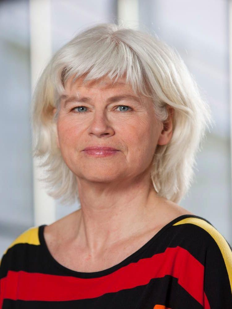 
    <strong>Karin Svensson Smith</strong> (MP)
    <br> 
    <br> riksdagsledamot och trafikpolitisk talesperson
   </br></br>