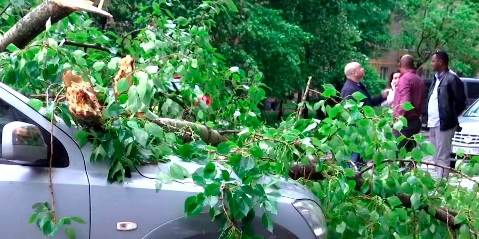 Hundratals träd fälldes av stormen i Moskva.