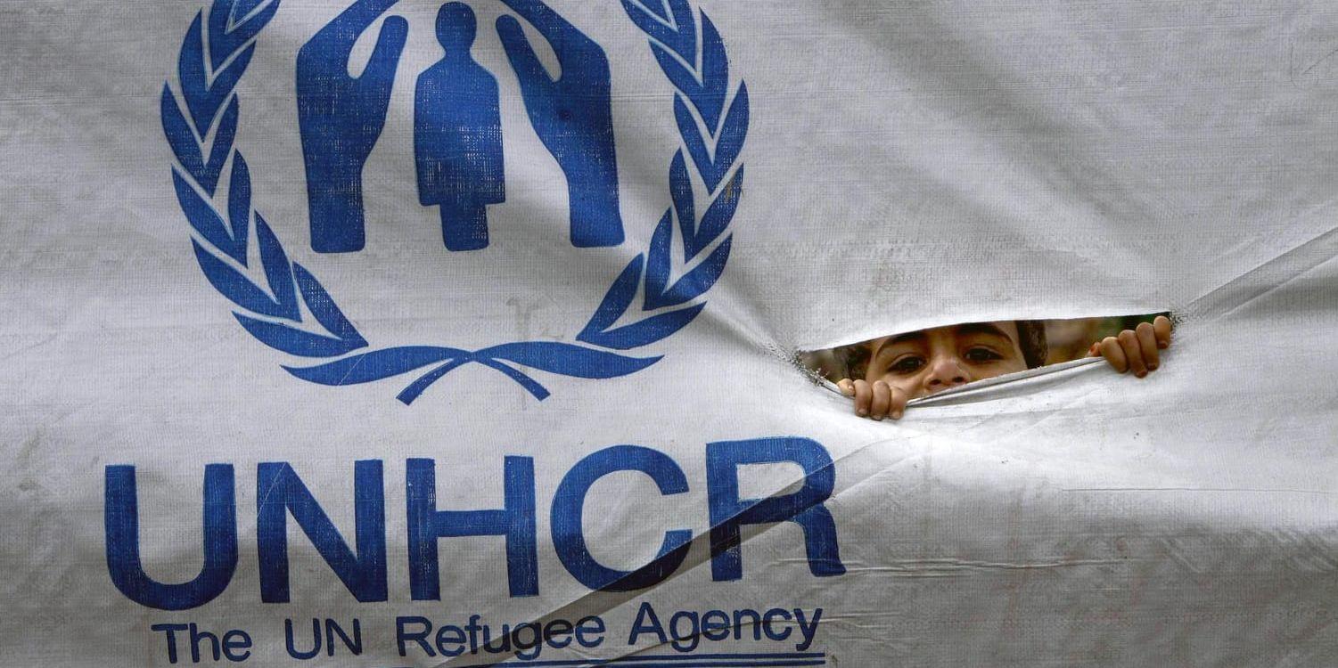 Generalsekreteraren för UNHCR för Sverige, Katinka Lindholm, avgår. Arkivbild.