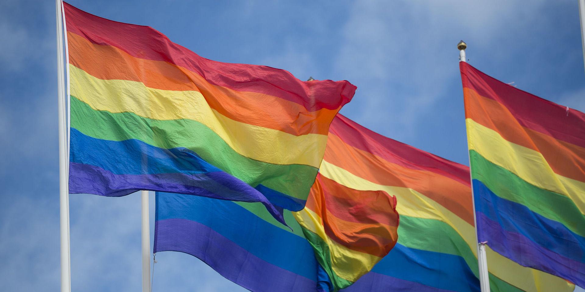Prideflaggorna hängde kvar i bibliotekets lokaler sedan Europride. Nu har de tagits bort på SD:s begäran.
