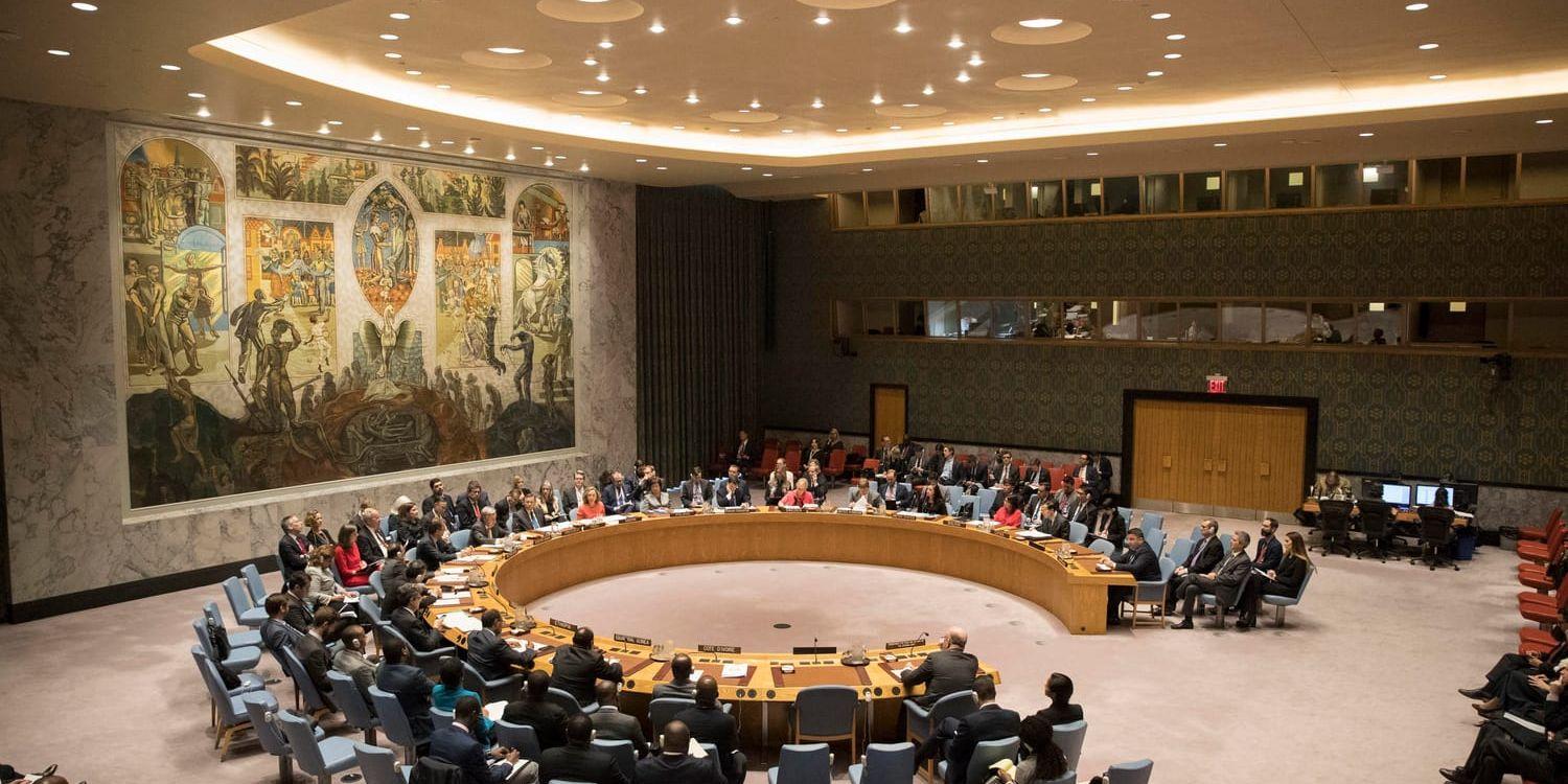 FN:s säkerhetsråd möts i april. Arkivbild.