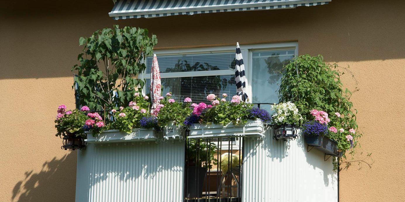 Balkong med blommor. Arkivbild.