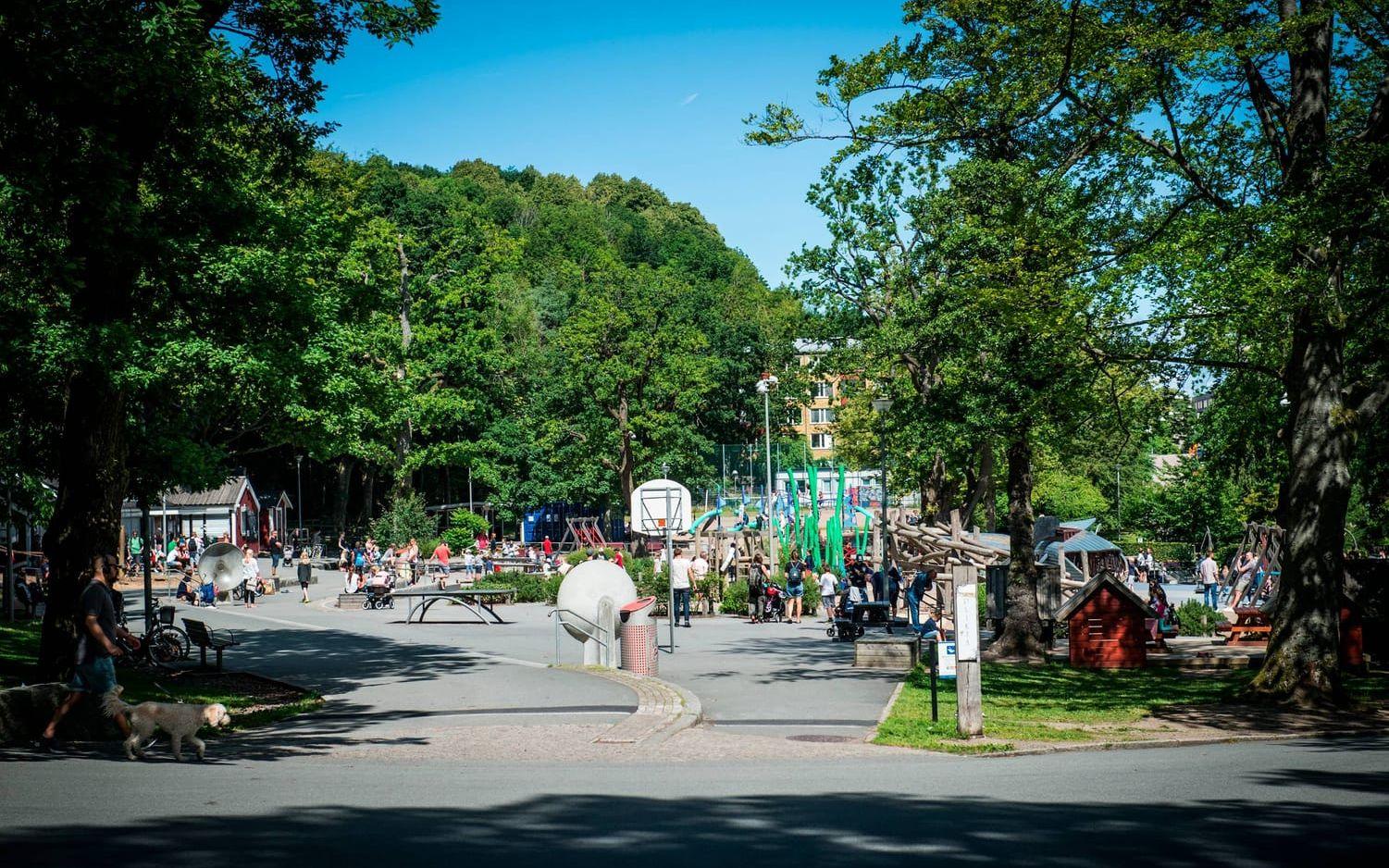 Plikta som var stadens första bemannade lekplats är den del av parken som utvecklats mest de senaste åren. Bild: Olof Ohlsson