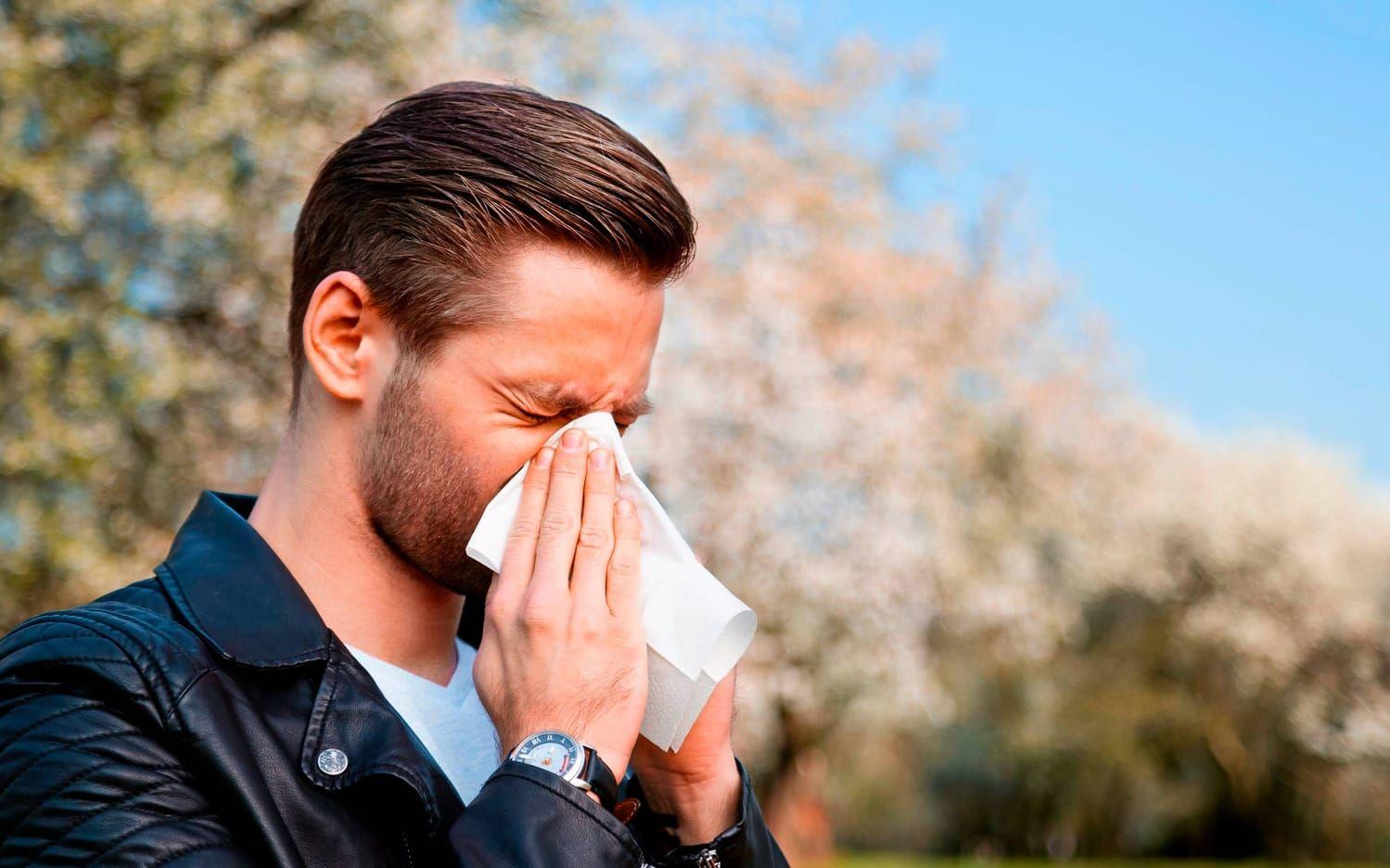 Cirka 25 procent av svenskarna har pollenallergi enligt Astma- och allergiförbundet. Men välj tabletterna noga. Bild: Shutterstock