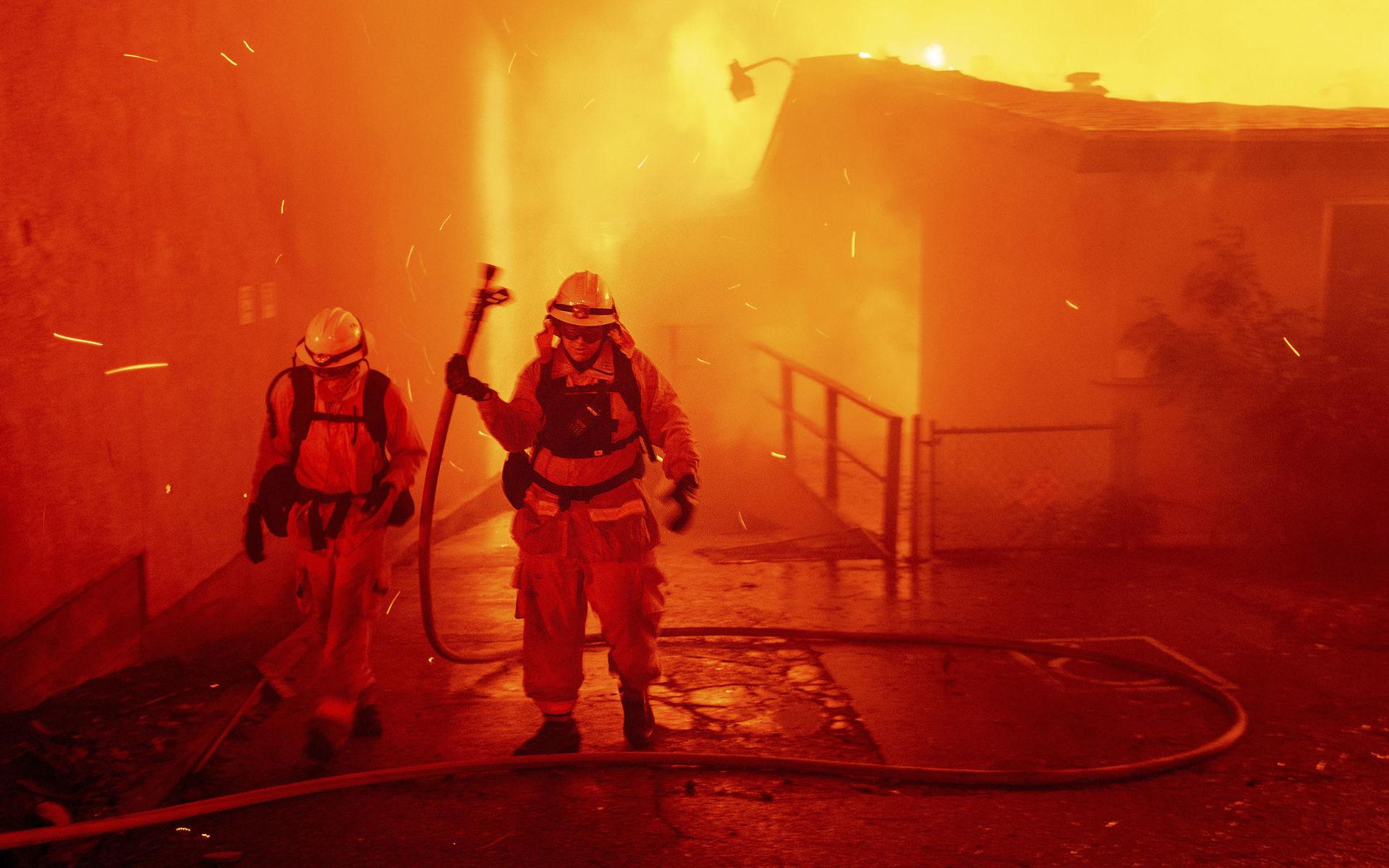 Brandmän kämpar mot lågorna i staden Paradise i Kalifornien. 