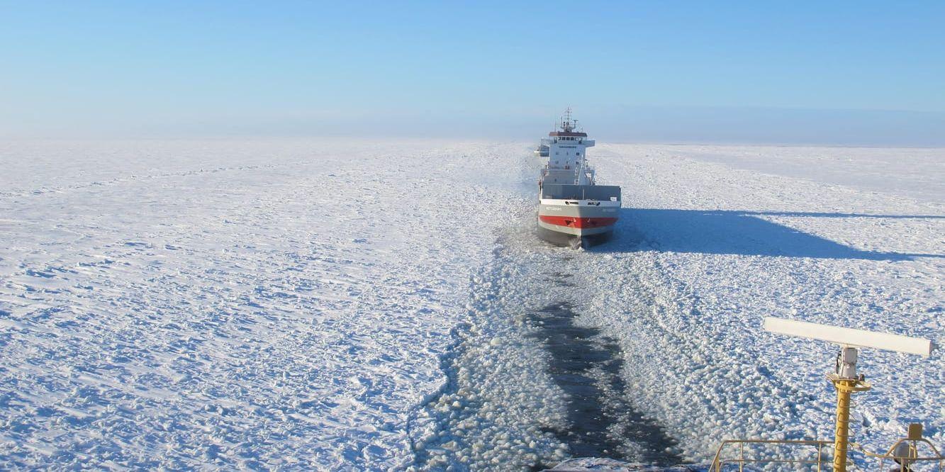 Isbrytaren Atle hjälper ett fartyg utanför Luleå. Arkivbild.