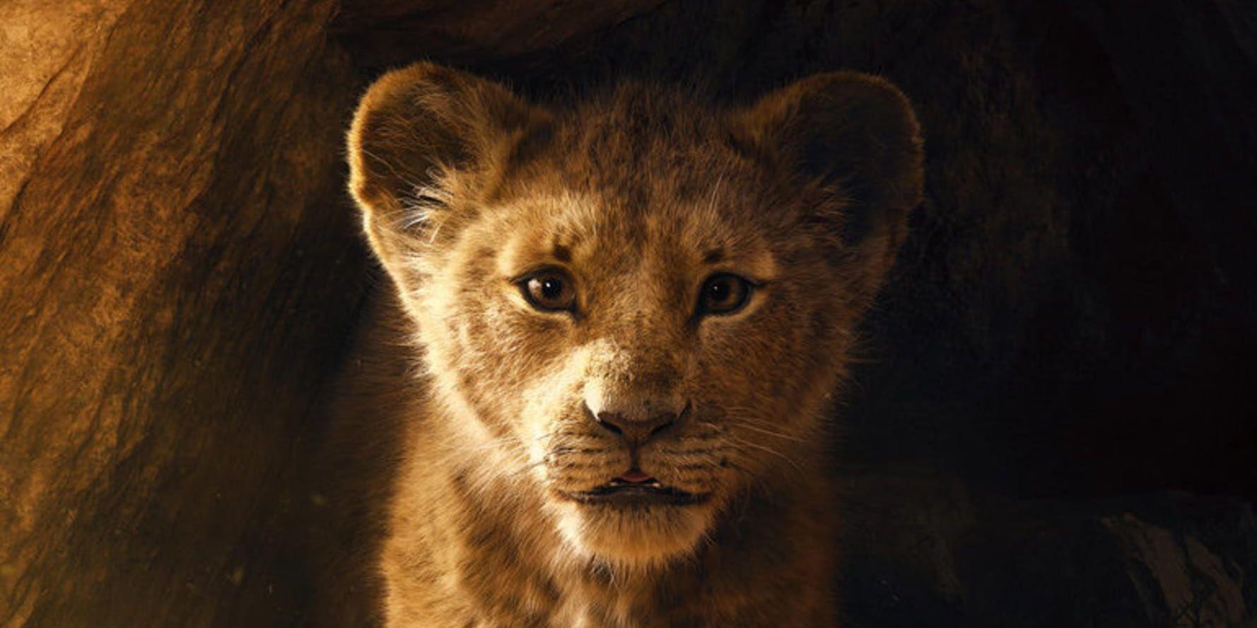 "Lejonkungen" har premiär nästa sommar. Pressbild.