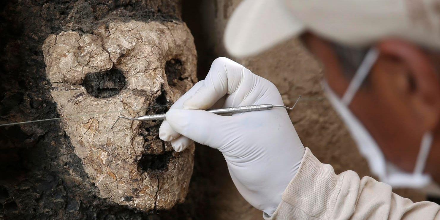 20 figurer har hittats vid utgrävningsplatsen Chan Chan i nordvästa Peru. De uppskattas vara cirka 800 år gamla.