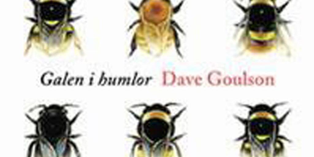 Dave Goulson | Galen i humlor. En berättelse om små men viktiga varelser.