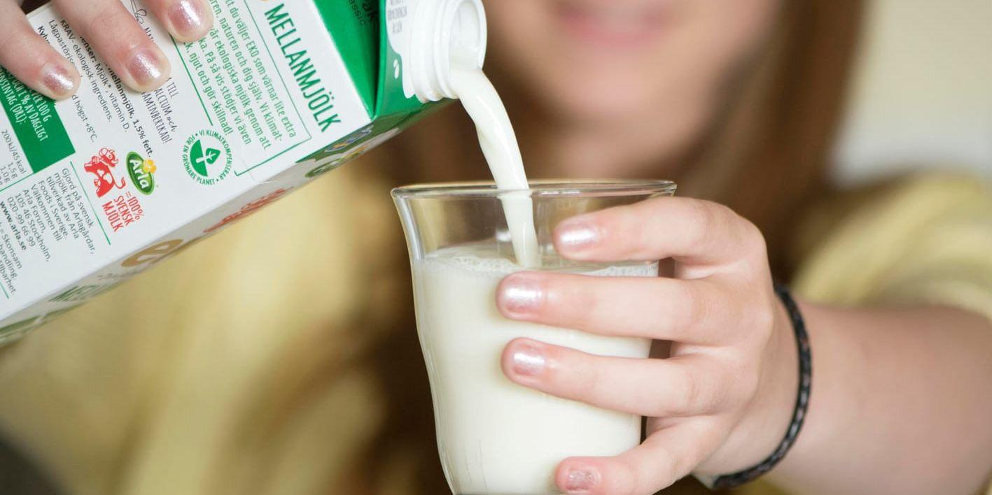 Arla Foods höjer mjölkpriset som betalas till bönderna. Arkivbild.