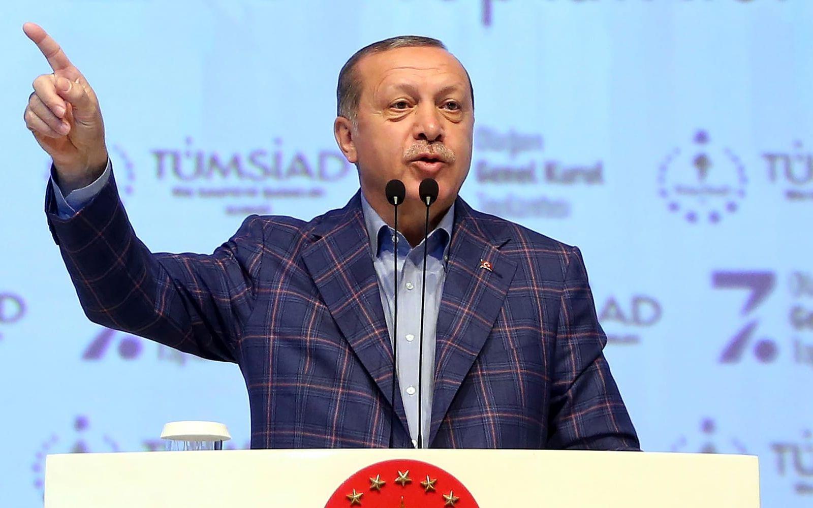 Turkiets president Recep Erdogan uppmanade US att sluta stödja YPG vid ett tal i Istanbul. 