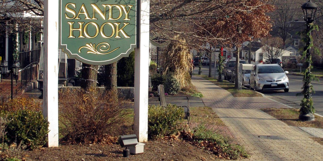 Sverige har varit förskonat från dåd liknande det vid Sandy Hook Elementary School i Newtown, Connecticut, då 20 barn och sex vuxna sköts ihjäl. Arkivbild.