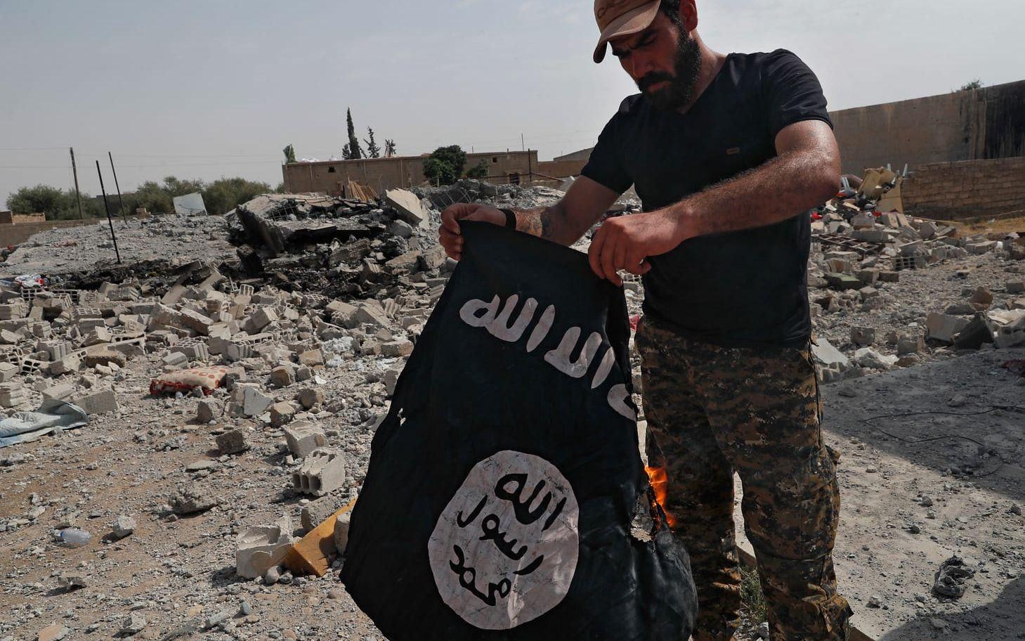 En soldat från den kristna sysiska milisen bränner Islamiska statens flagga efter att Raqqa återtagits från IS. Bild: TT
