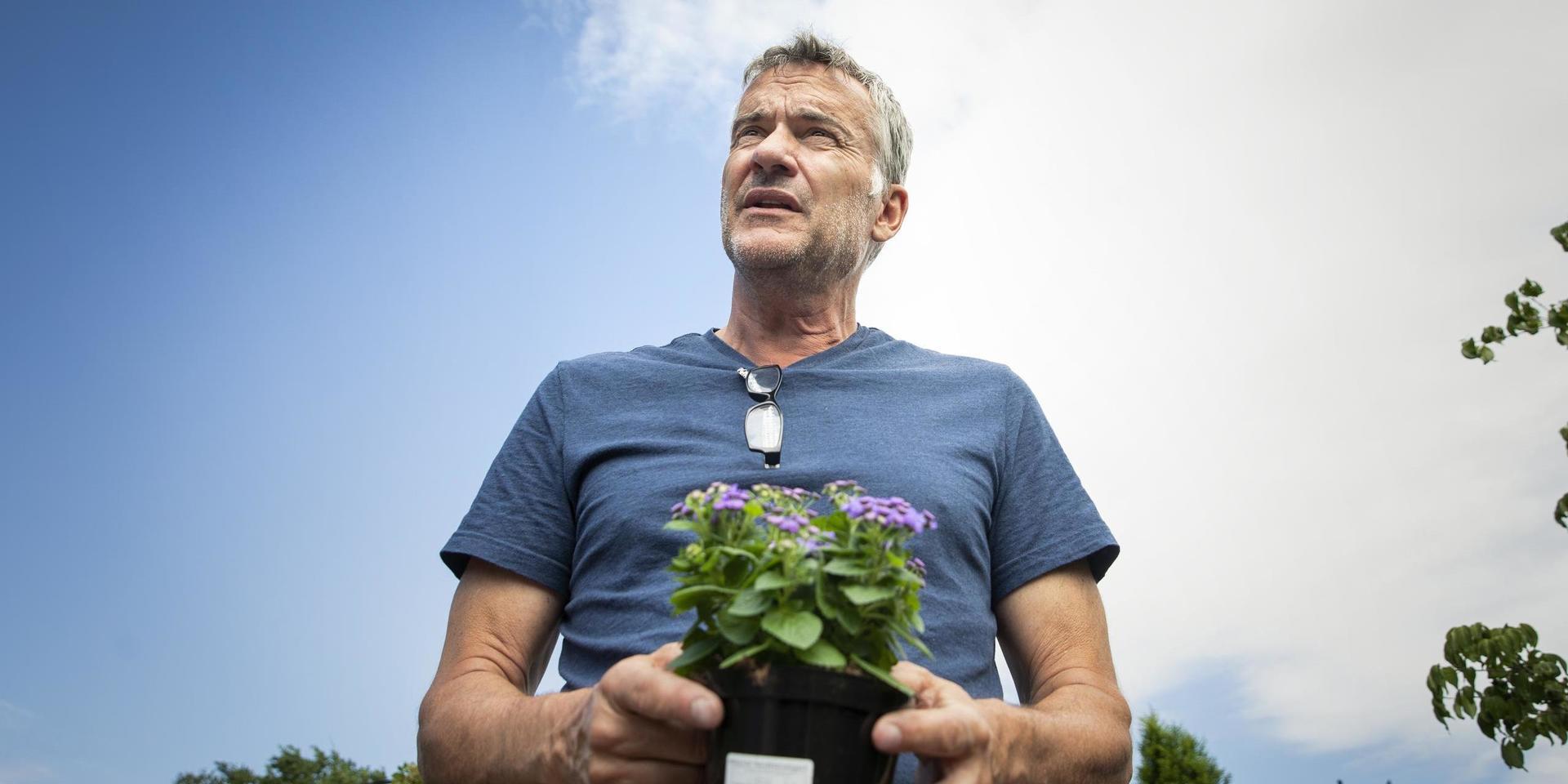 Trädgårdsmästaren Peter Svenson visar upp en Leverbalsam som är dagens gåvoblomma till alla de som inte tar bilen till deras trädgårdar.