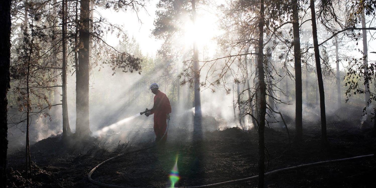 Eftersläckning av skogsbrand utanför Umeå. Arkivbild.