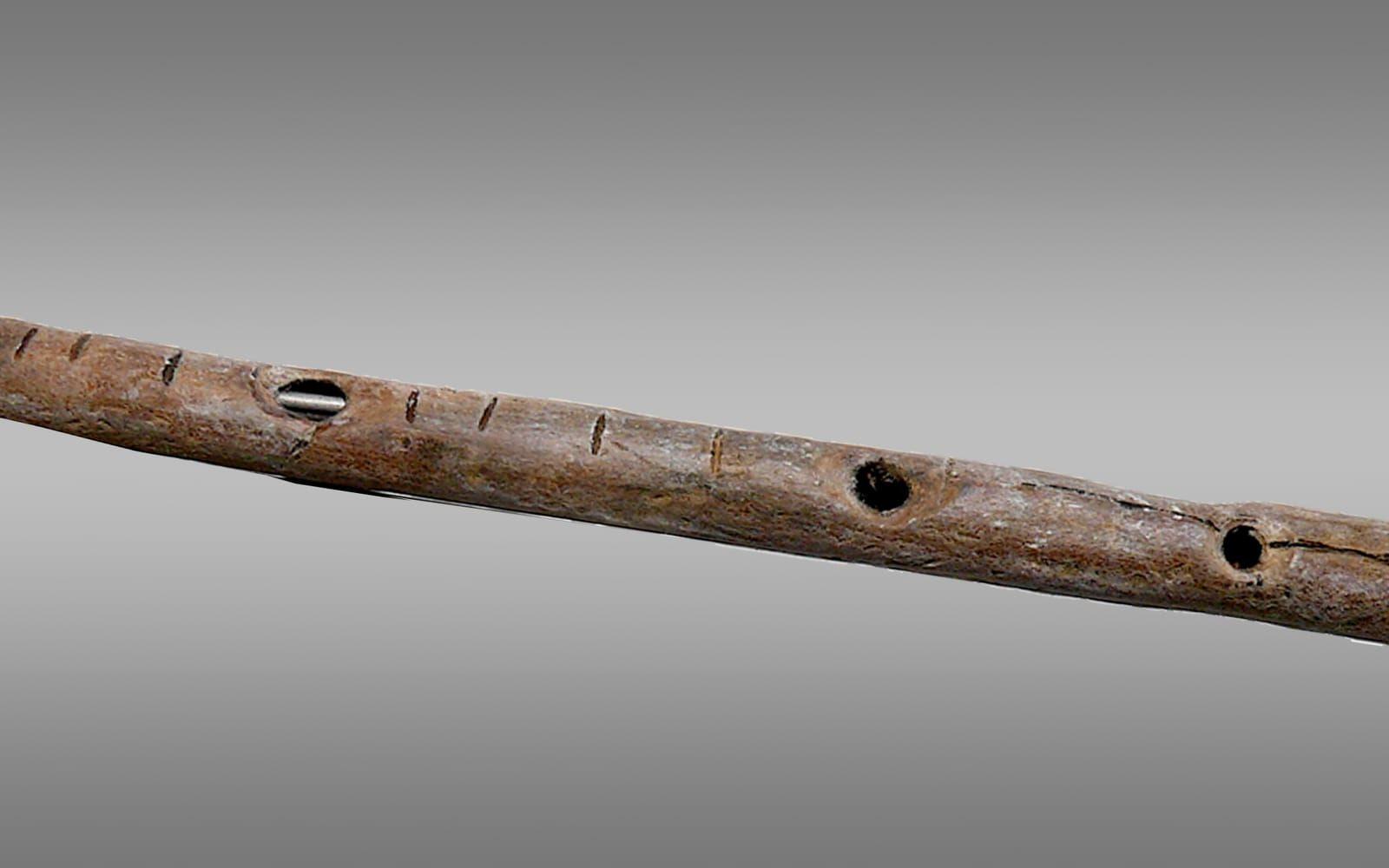 <strong>VÄRLDENS ÄLDSTA INSTRUMENT. </strong>2012 hittade arkeologer vad man tror är världens äldsta instrument i en grotta i tyska Geissenklösterle. Med hjälp av kol14-datering har man fastställt att flöjten, som är gjord av mammutben, är mellan 42.000 och 43.000 år gammal. I april 2017 släpptes en skiva med musik spelat på en replika av den gamla flöjten.