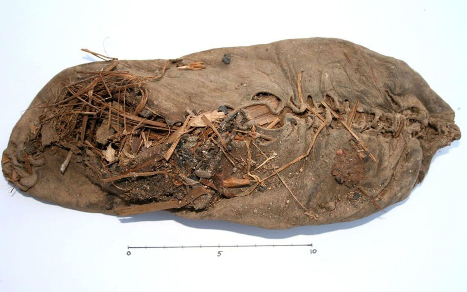 <strong>VÄRLDENS ÄLDSTA SKO.</strong> Världens äldsta skinnsko hittades i Armenien 2010 och tros vara 5.500 år gammal. Visst är det förvånansvärt modern?