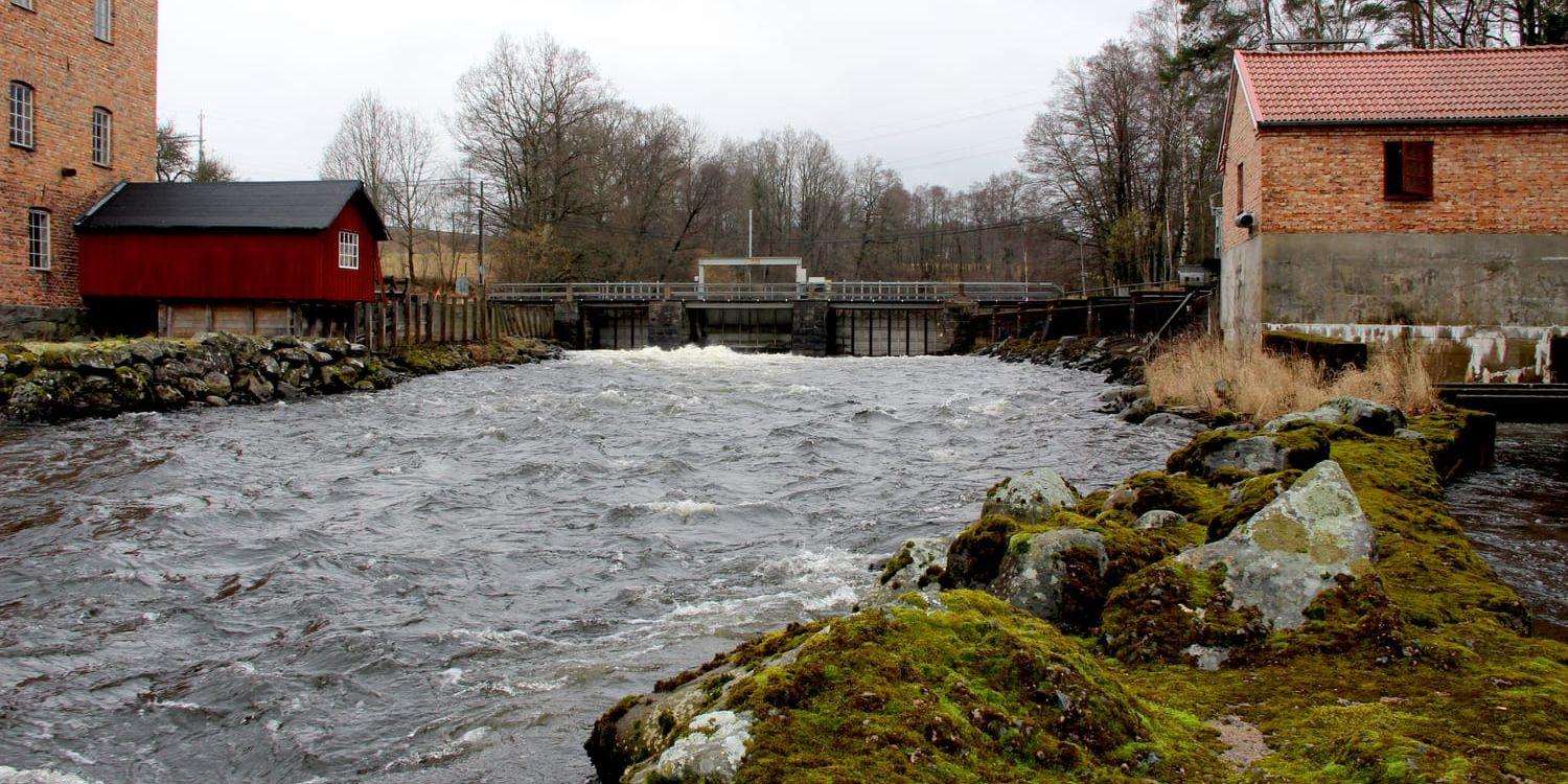 Vattenkraftens miljöfond, som kan komma till stånd i höst, kan finansiera delar av en fiskväg förbi Hillefors vattenkraftsverk. Arkivbild: Martin Björklund