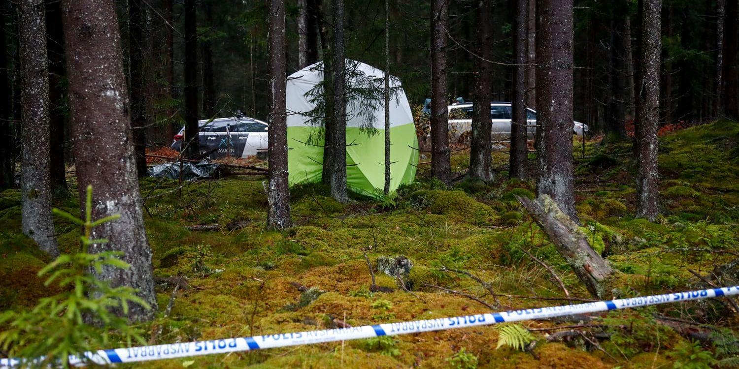 Den mördade kvinnan hittades insläpad i skogen längs milspåret på Lassalyckan i Ulricehamn. Vid platsen har polisen säkrat dna från en man som man misstänker är mördaren. 