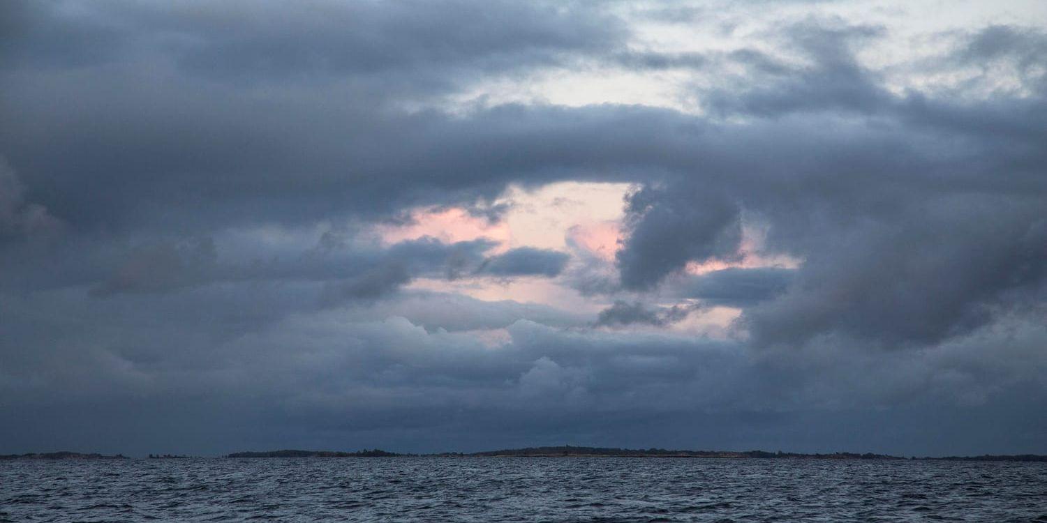 Länderna kring Östersjön är inte tillräckligt bra på att skydda havet, enligt en rapport från WWF. Arkivbild.