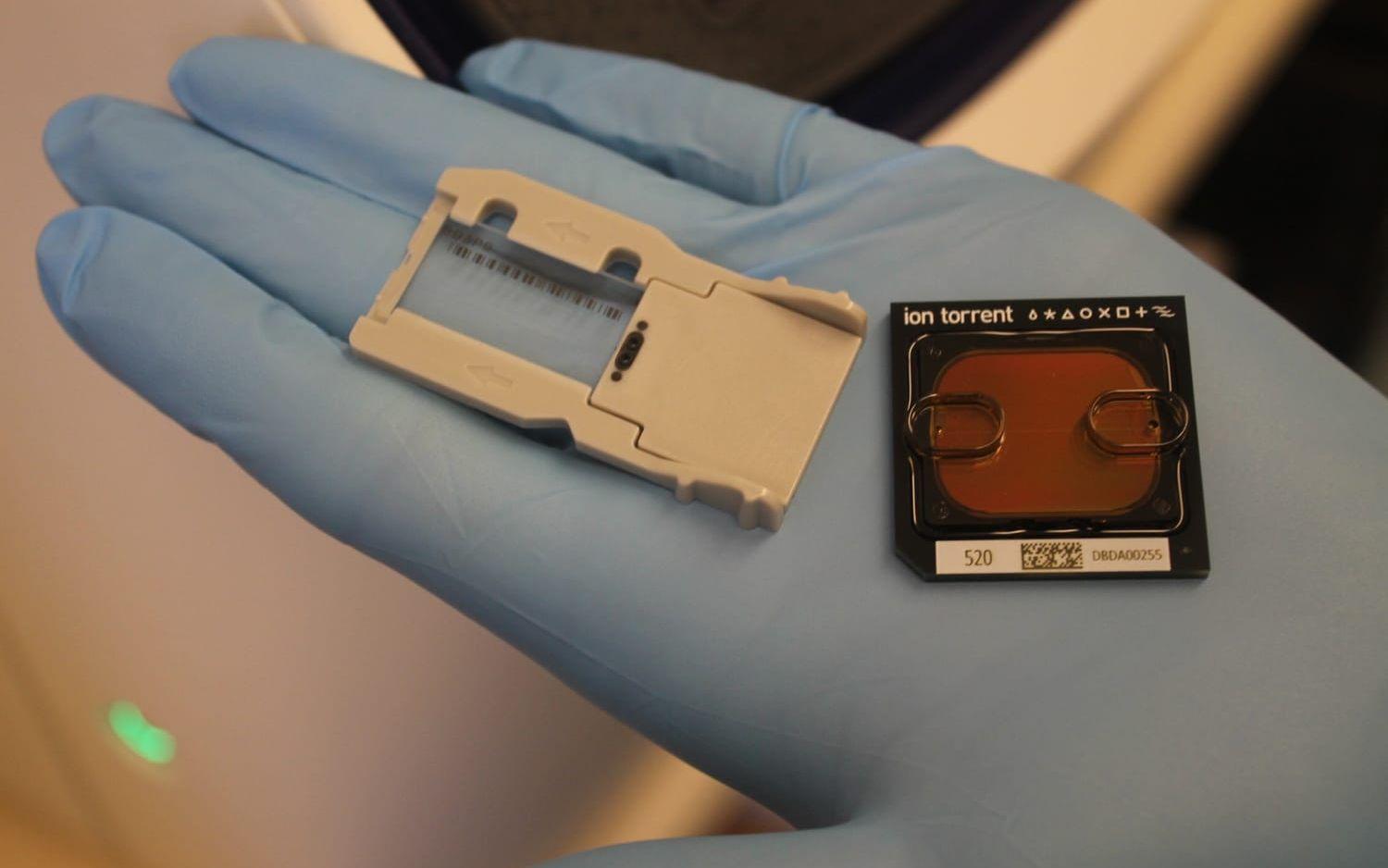På varje chip kan analyser för upp till tolv olika patienter göras samtidigt. Foto: Fredrik Enlund
