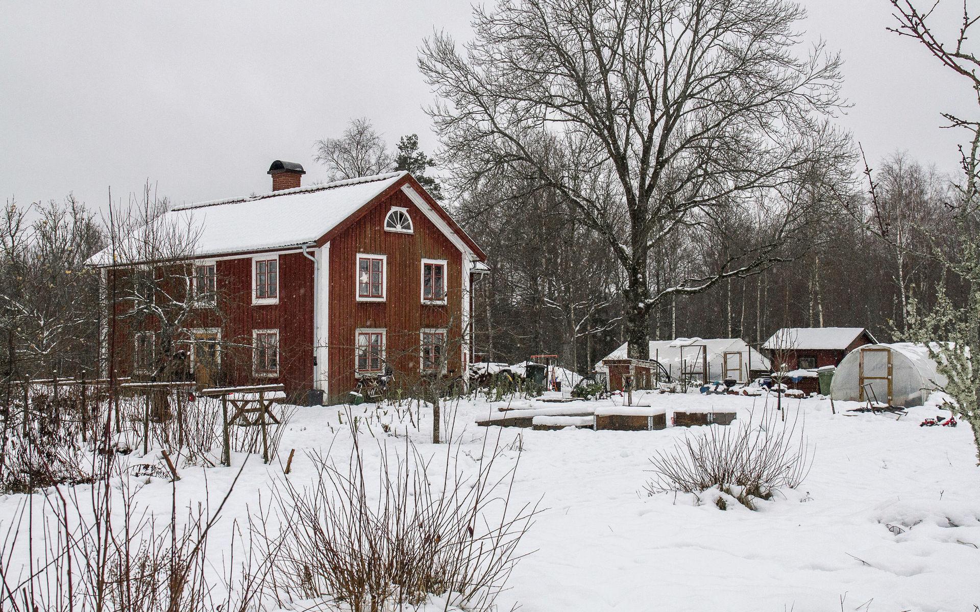 Skillnadens trädgård ligger i odlingszon 3, några mil söder om Växjö.