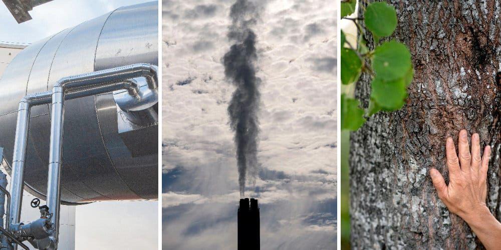 FN:s klimatpanel pekar ut två tekniker som går att bygga ut i större skala för att hjälpa till att rädda klimatet: bio-CCS där man använder förnybara råvaror i till exempel värmekraftverk och sedan tar bort koldioxiden ur utsläppen och lagrar den – samt planterar en himla massa träd.