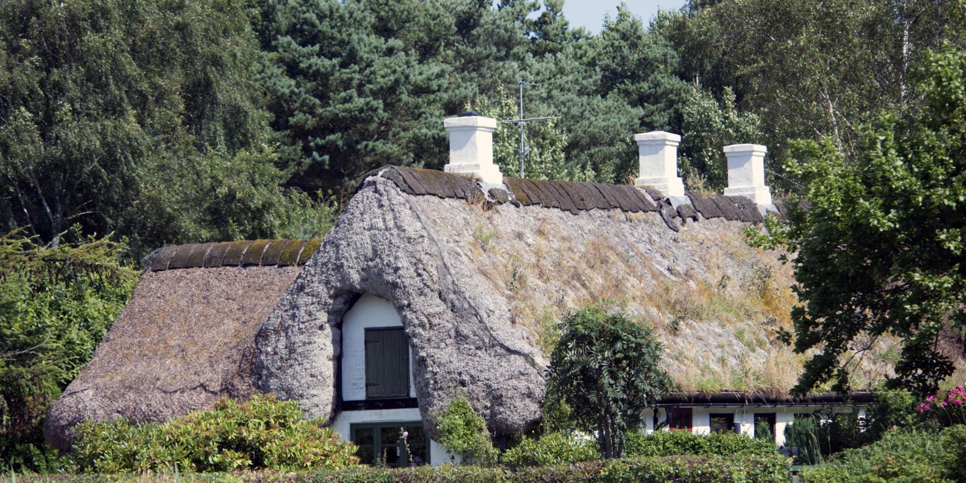 Hus med tak av sjögräs på Läsö. 