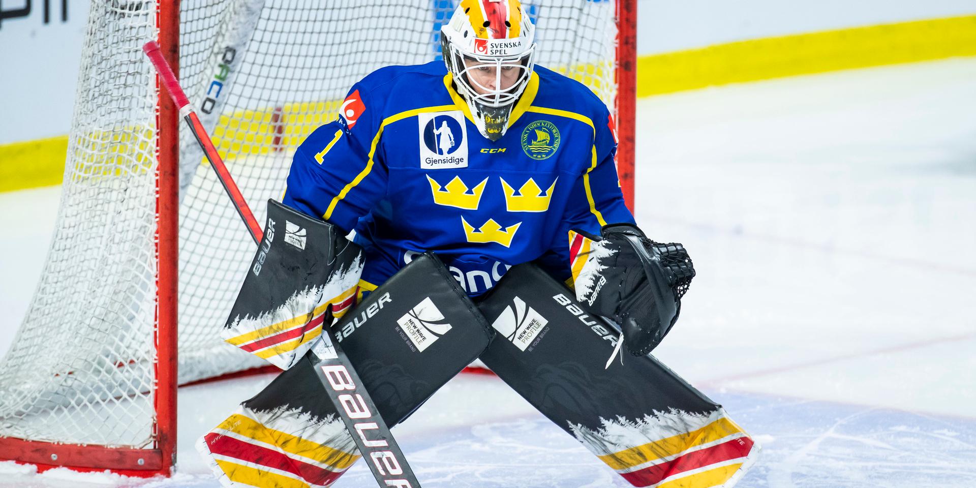 Sara Grahn i samband med Sveriges OS-kvalmatch mot Slovakien i Coop Norrbotten Arena i november i fjol.