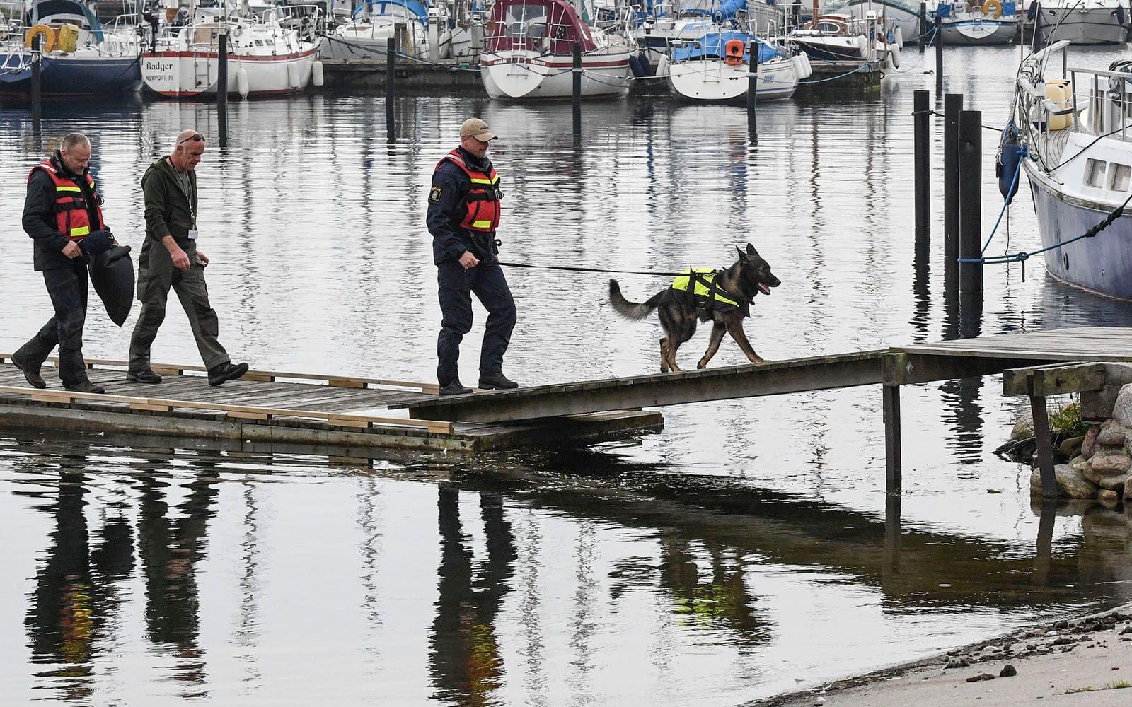 Svensk polis har assisterat sina danska kollegor med bland annat hundar. FOTO: TT
