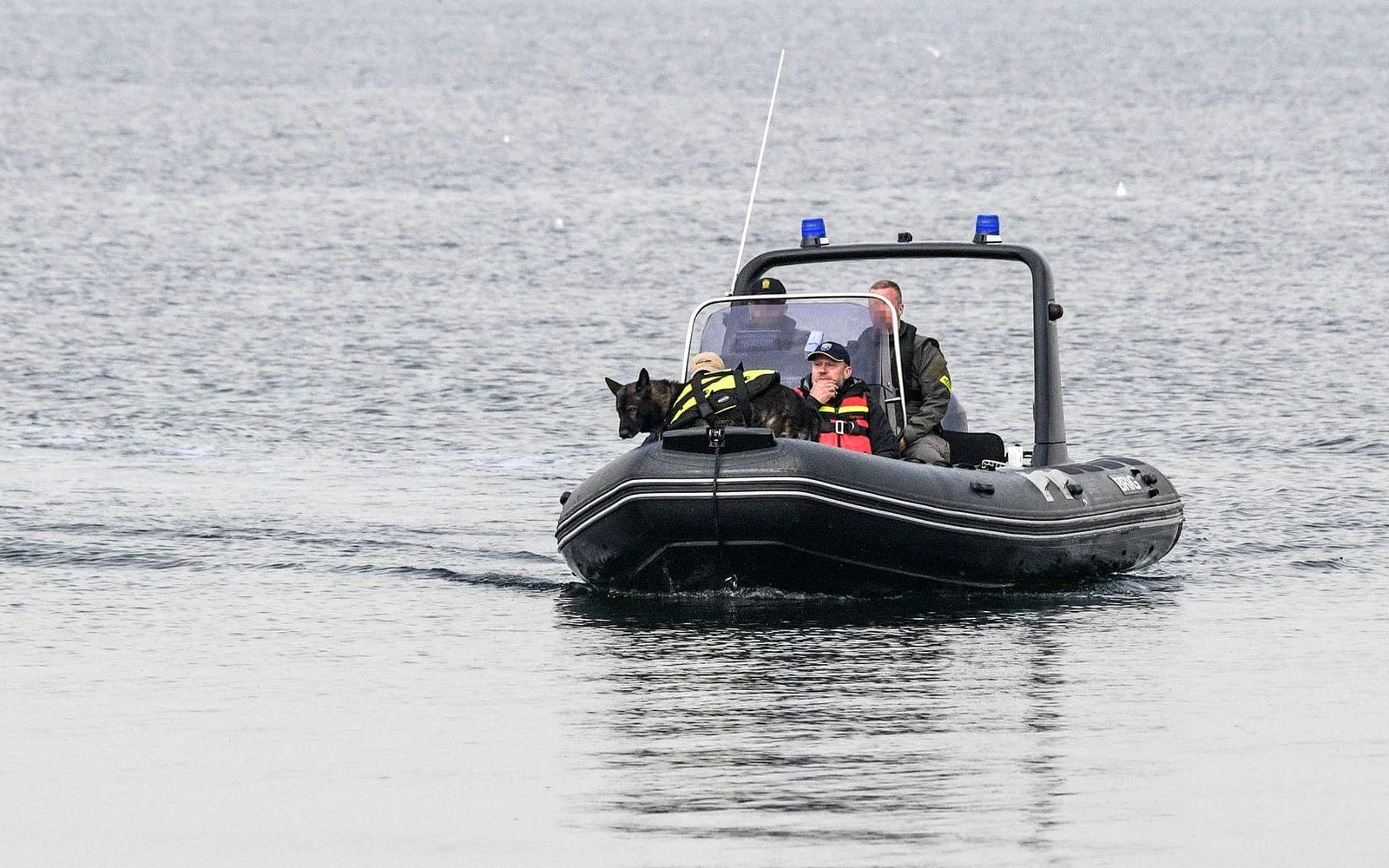 Svensk polis har assisterat sina danska kollegor med bland annat hundar. FOTO: TT
