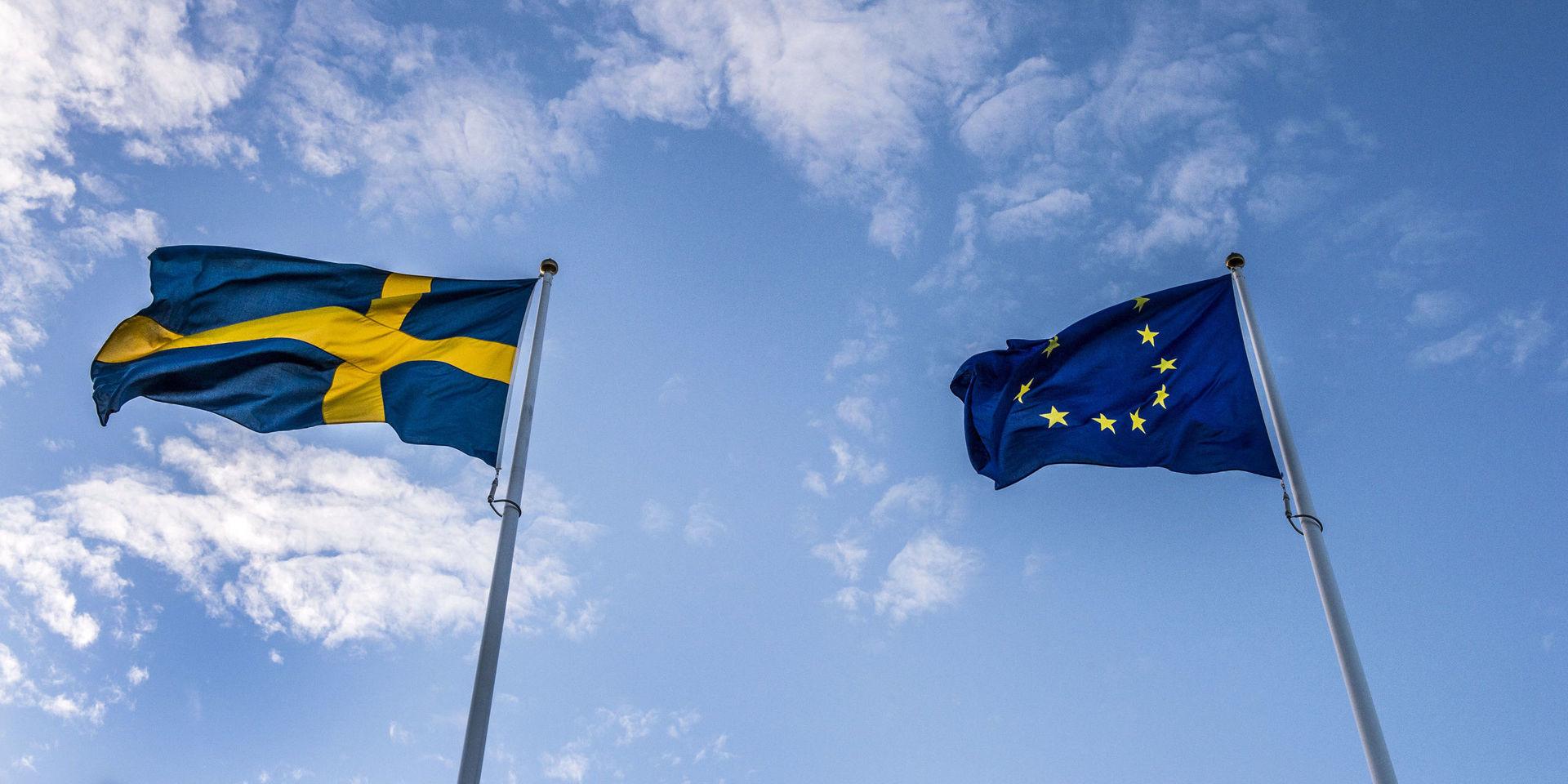 Sverige och EU. Den som damp ner i valrörelsen 2018 är ursäktad om hen missade att Sverige sedan 1995 är medlem i EU. Det är svårare att förstå de politiker och journalister som inte behandlade våra grannländer för vad de är – en del av svensk inrikespolitik, skriver Hynek Pallas.