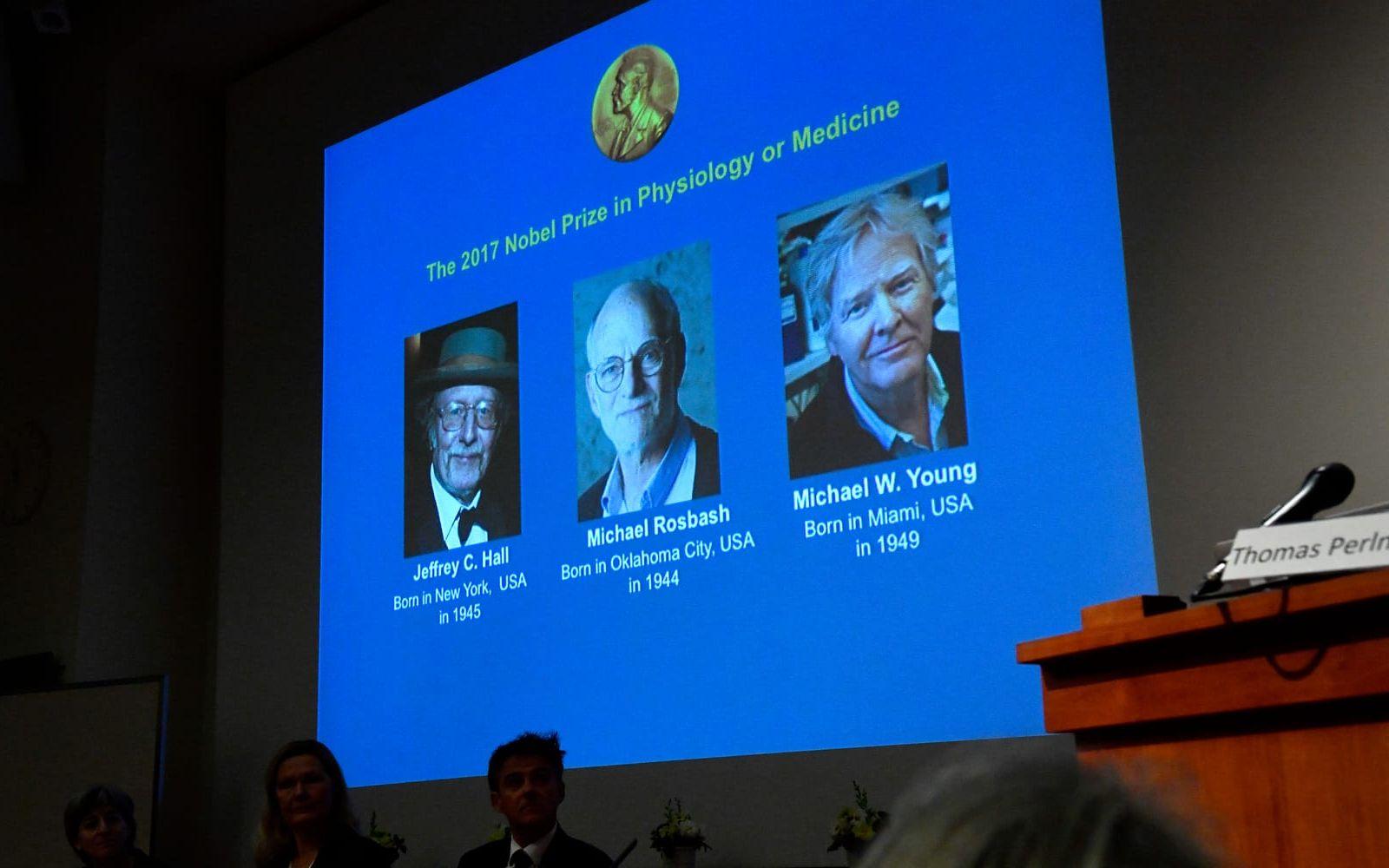 Priset delas mellan tre amerikaner, Jeffery C Hall, Micheal Rosbash och Micheal W. Young. Bild: Jonas Ekströmer