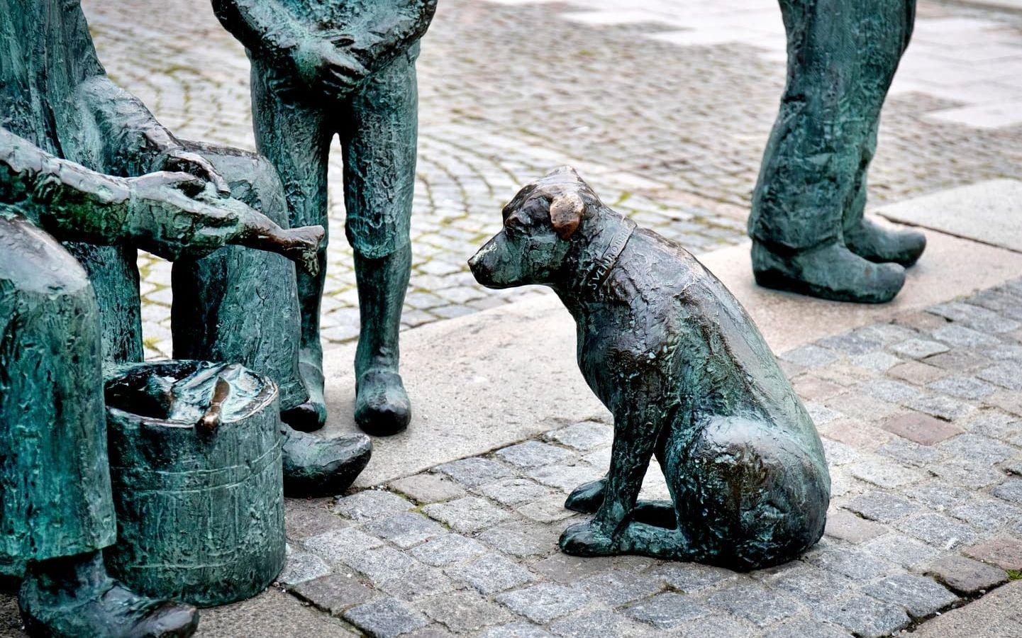 Stena. När Svenrobert Lundquist arbetade på sin skulpturgrupp Skärgårdsfiskare, som nu hittas utanför Feskekörkan, var kompisen Stina med i verkstaden och nosade på allting. Konstnären fick då idén att skriva in en hund i sitt verk – och vips föddes Stena. Hon sitter också vid Donsö hamn, lika hungrig där. Foto: LIsa Thanner