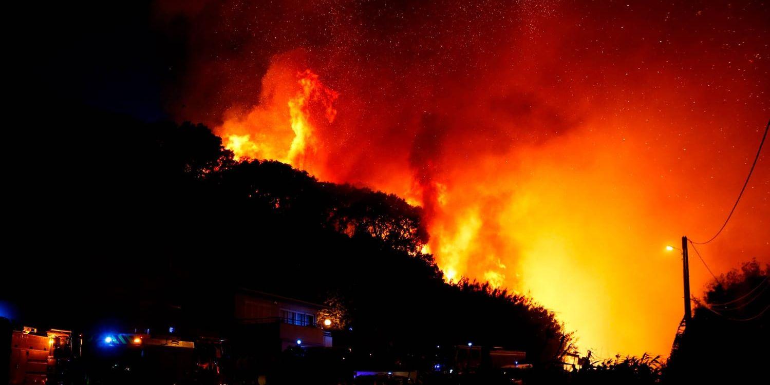 Stora skogsområden har förstörts av bränder i södra Frankrike, bland annat på Korsika.