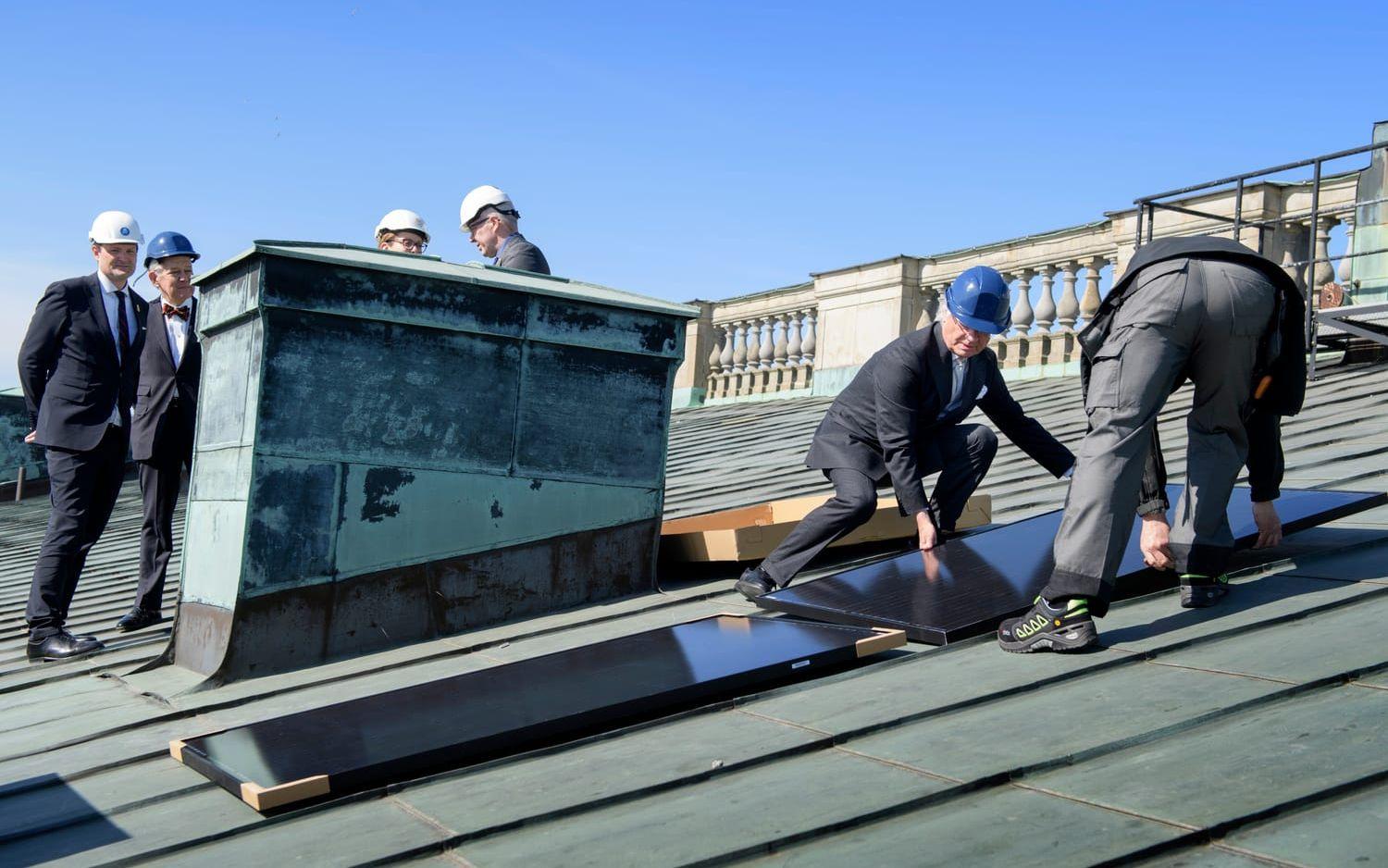 Totalt installeras 600 solcellspaneler på en yta av 1 000 kvadratmeter.