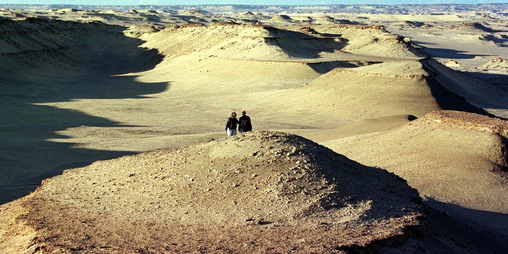 Västra öknen i Egypten. Arkivbild.