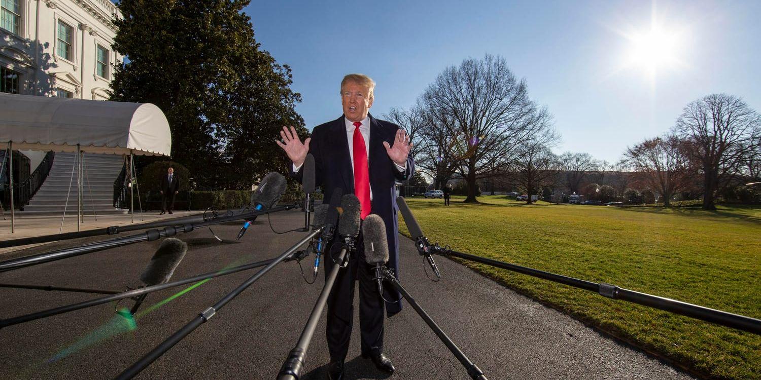 President Donald Trump hotar med sina särskilda presidentbefogenheter om han inte får en mur, men de gör honom inte allsmäktig. Bild tagen på söndagen.