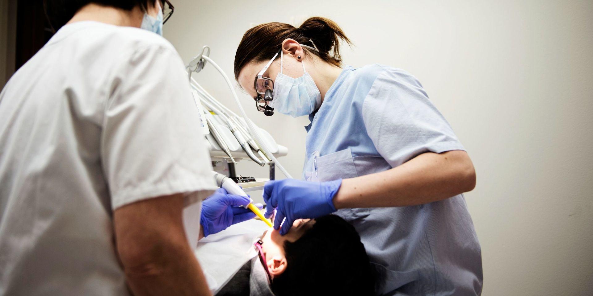 Sökes: tandsköterskor. Om tio år har hälften av Folktandvårdens sköterskor i regionen pensionerats.