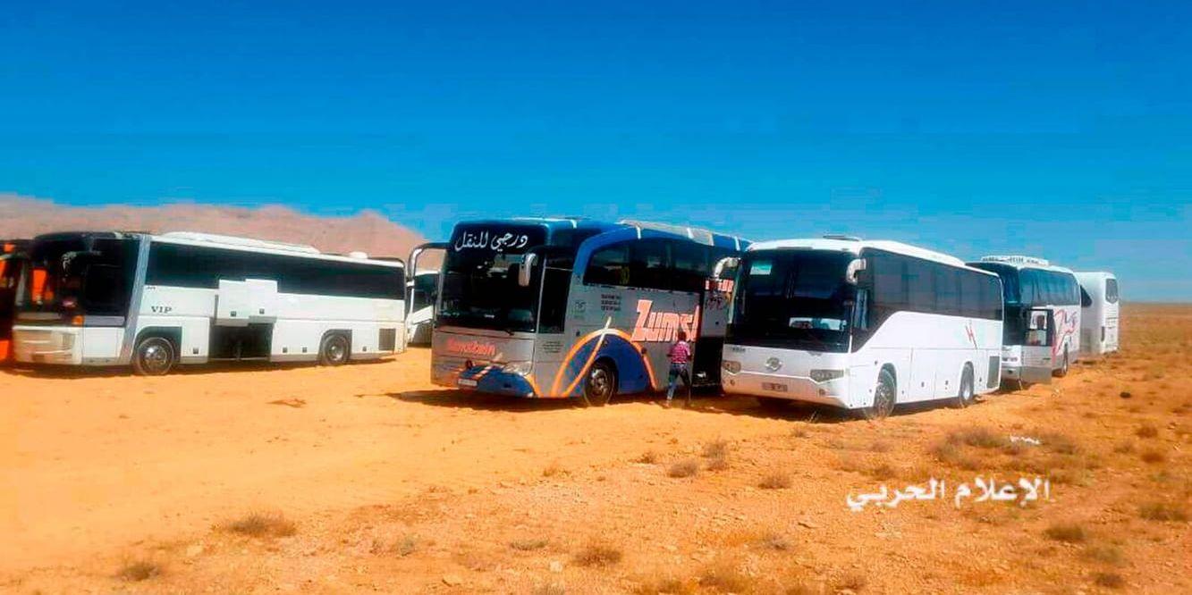 Några av de bussar som skulle transportera IS-soldater från ett område vid den libanesiska gränsen som tidigare kontrollerats av terrorrörelsen. Arkivbild.