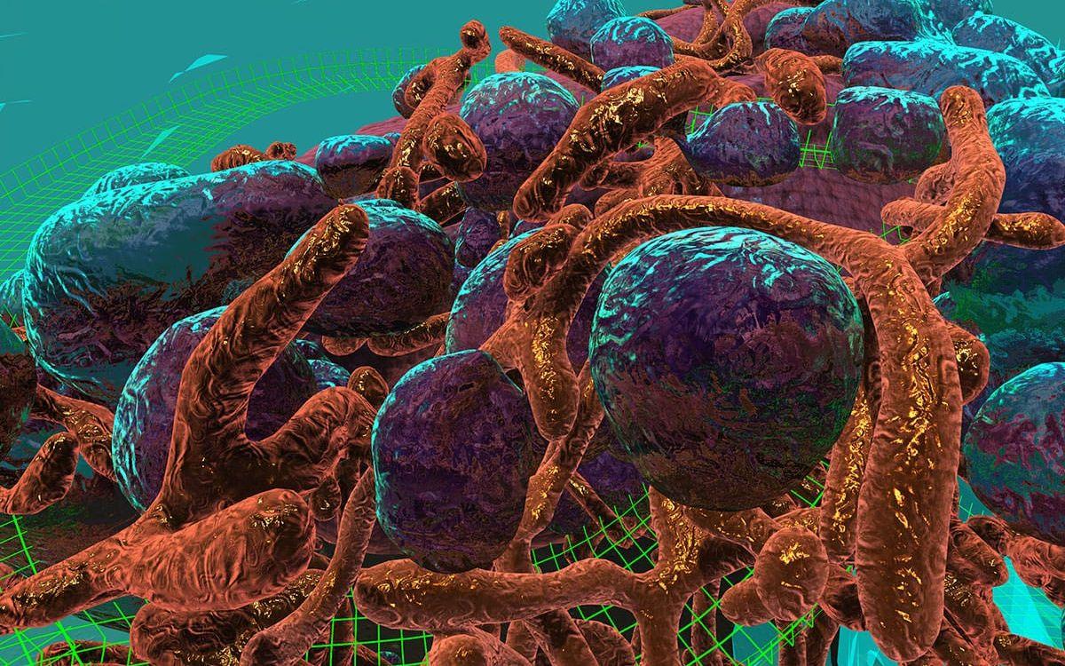 <strong>CANCERFORSKNING: </strong>I stället för att stirra in i ett mikroskop kan forskare nu traska rakt in i en cancerscell och se den på nära håll. University of South Wales i Australien visade nyligen upp ett fungerande koncept som närmast liknade en fjärran planet. Foto: UNSW