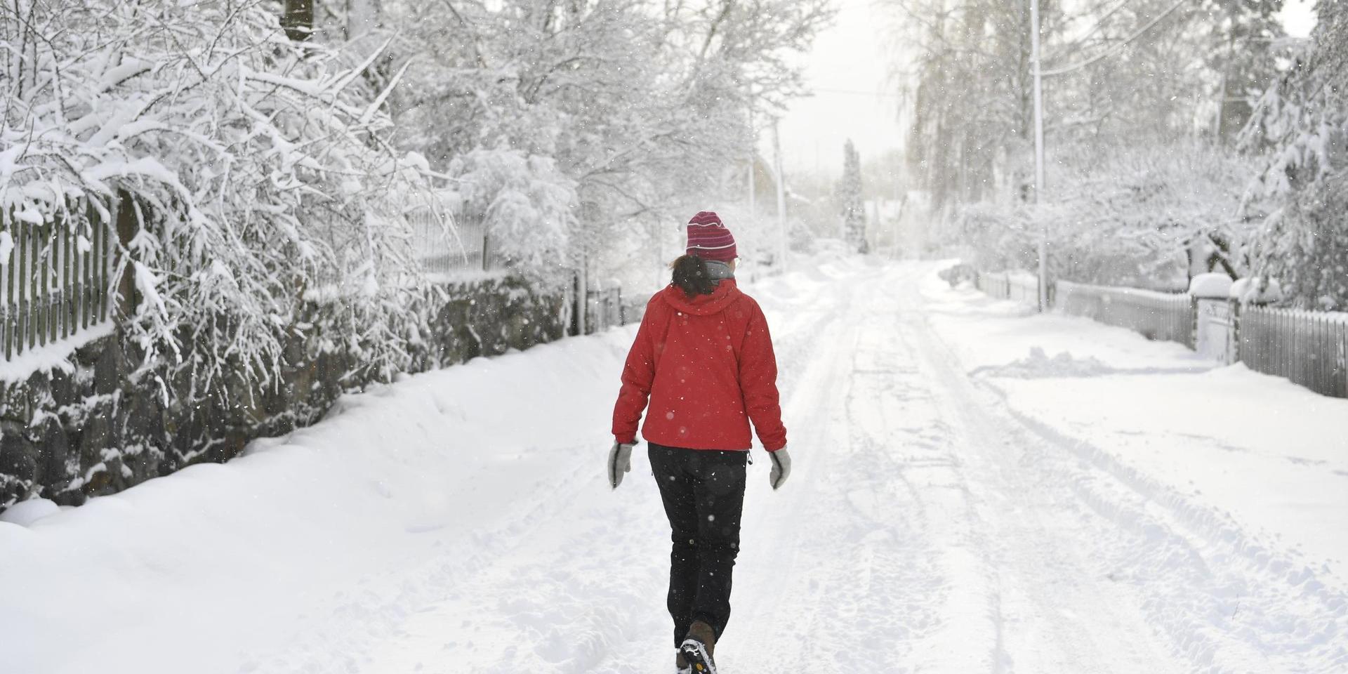 Från och med trettondedag jul finns det goda chanser för snö i Göteborg.