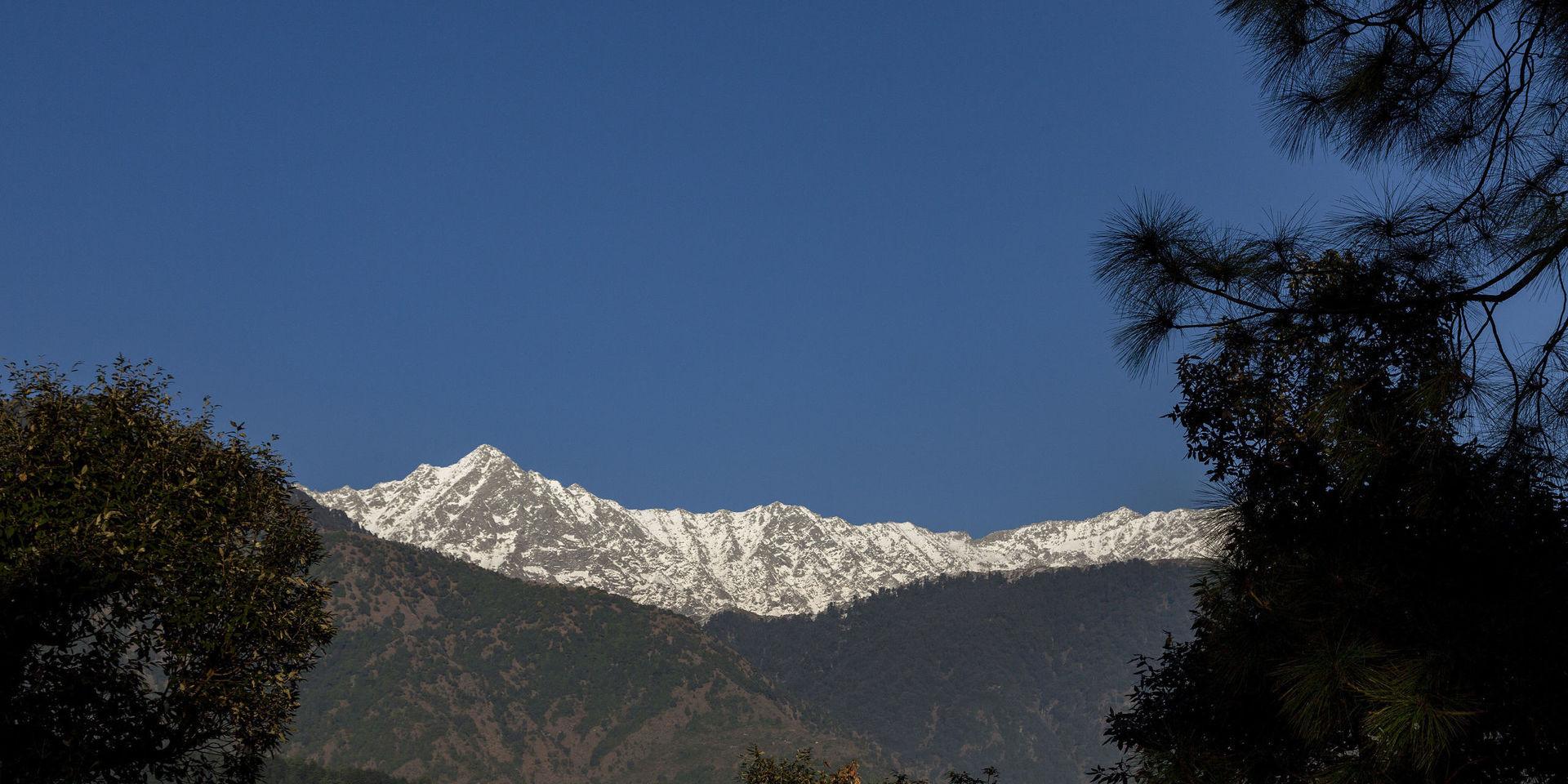 För första gången på 30 år kunde människor i norra Indien skåda bergstoppar från bergskedjan Himalaya. Bilden är tagen vid ett annat tillfälle och föreställer Dhauladhar, en del av bergskedjan Himalaya.