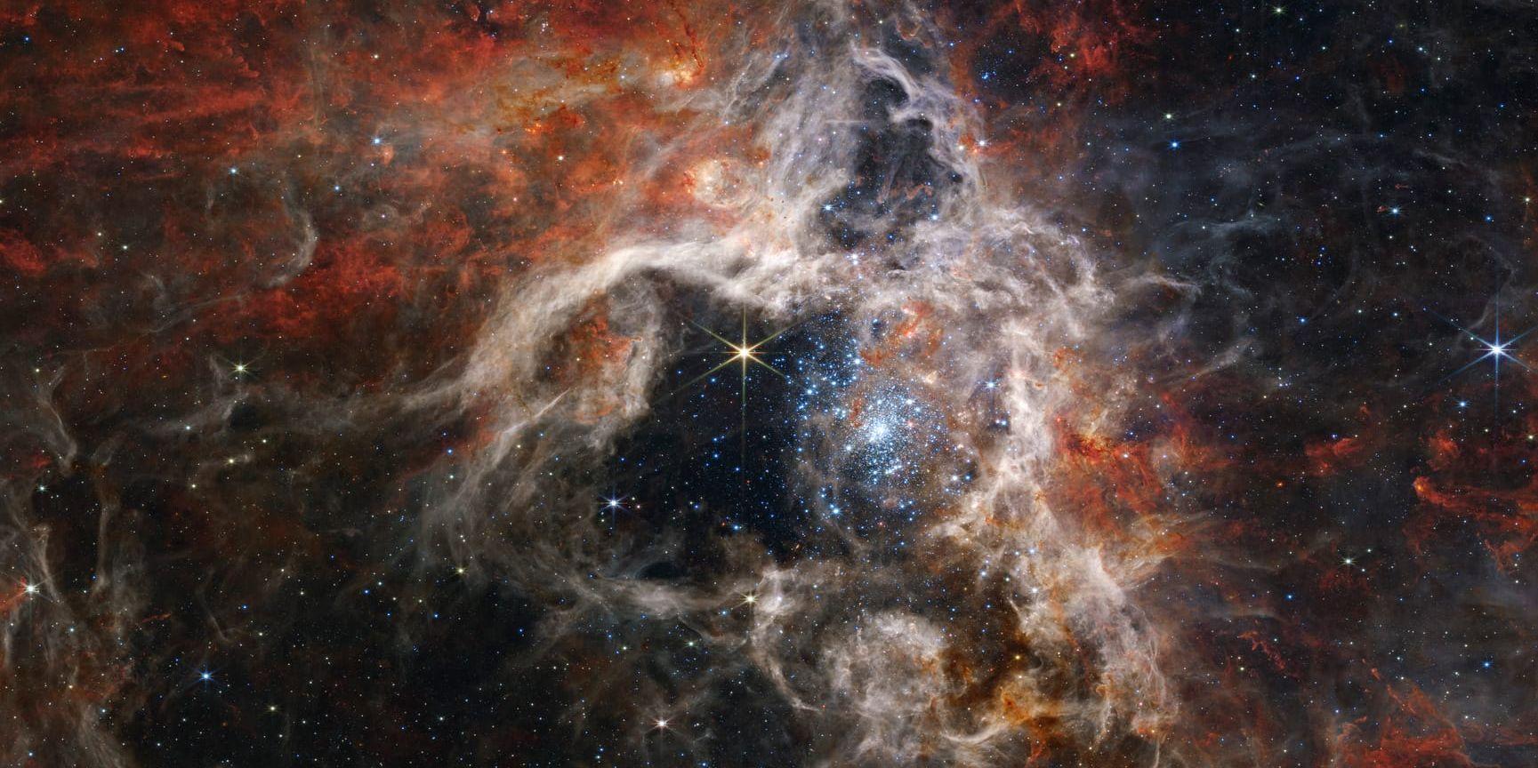 Bilden visar Tarantelnebulosan, fångad av James Webb-teleskopet i september i år.