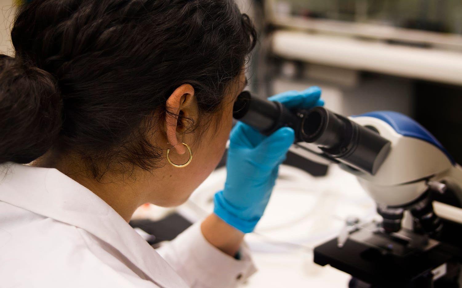 Svenska universitet och högskolor riskerar att bli av med många utländska forskare, enligt forskarfacket Sulf. Arkivbild.