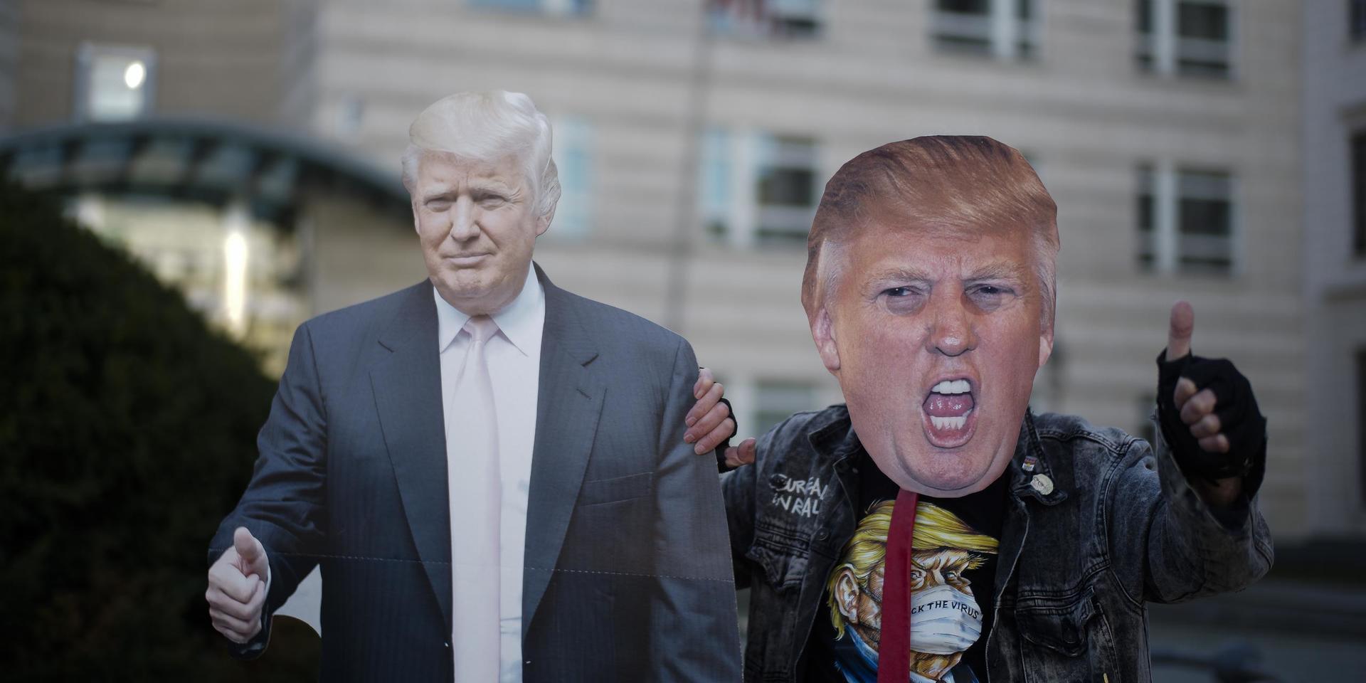 En Trump-supporter tillsammans med en pappfigur föreställande den amerikanske presidenten. Enligt New York Times verkar allt peka på att opinionsinstituten underskattat Donald Trump igen. 