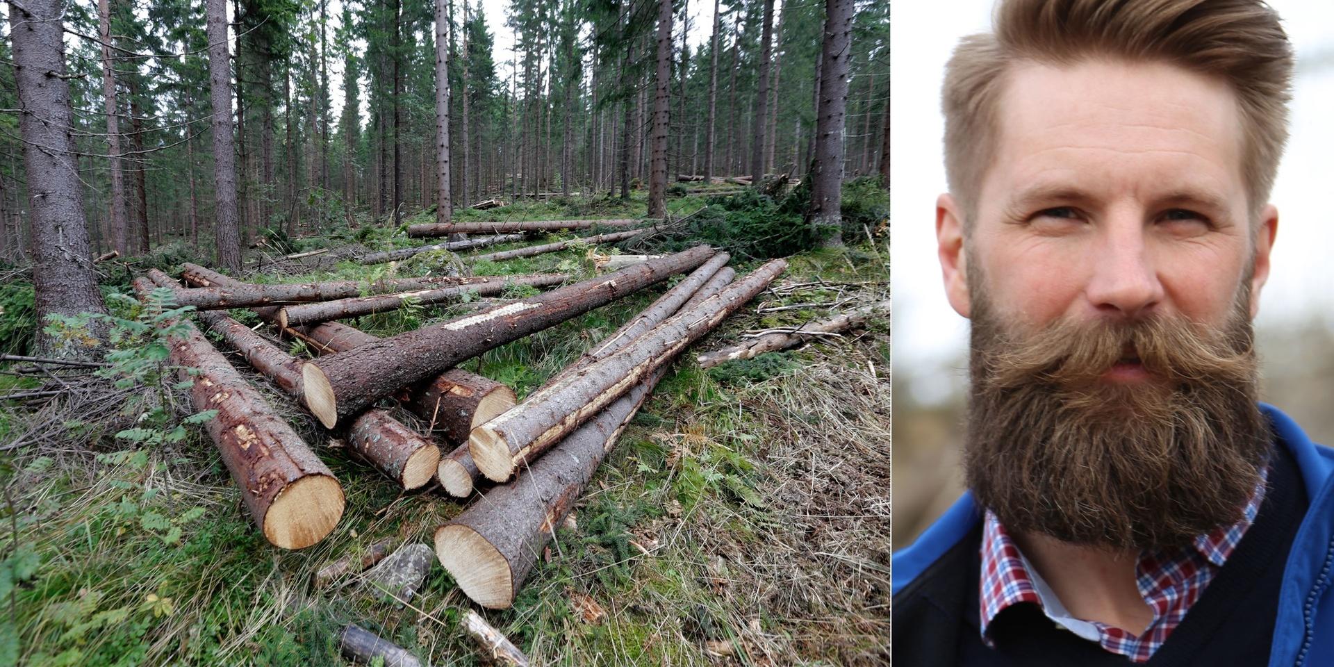 Skogsbruket inom Göteborgs stift bedrivs enligt gällande lagar och dubbelcertifierat via de två största certifieringsorganisationerna inom svenskt skogsbruk, skriver debattören.