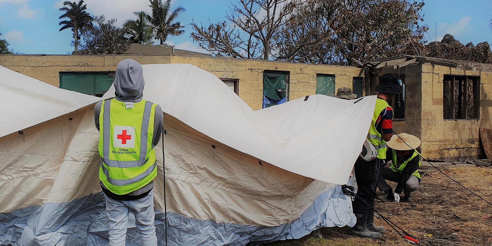 Personal från tonganska Röda Korset bygger ett tillfälligt skydd för personer som drabbats av katastrofen.